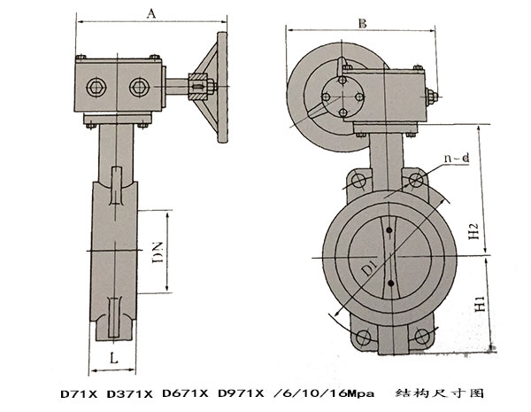瑞奇閥門_對夾蝶閥結構尺寸圖